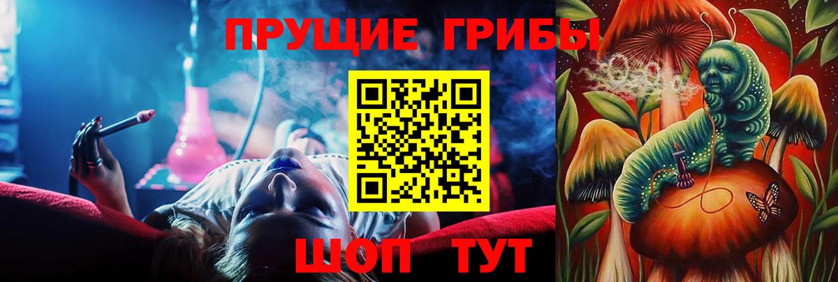 купить закладку  Псилоцибиновые грибы Psilocybe  Вход с VPN  Миасс 